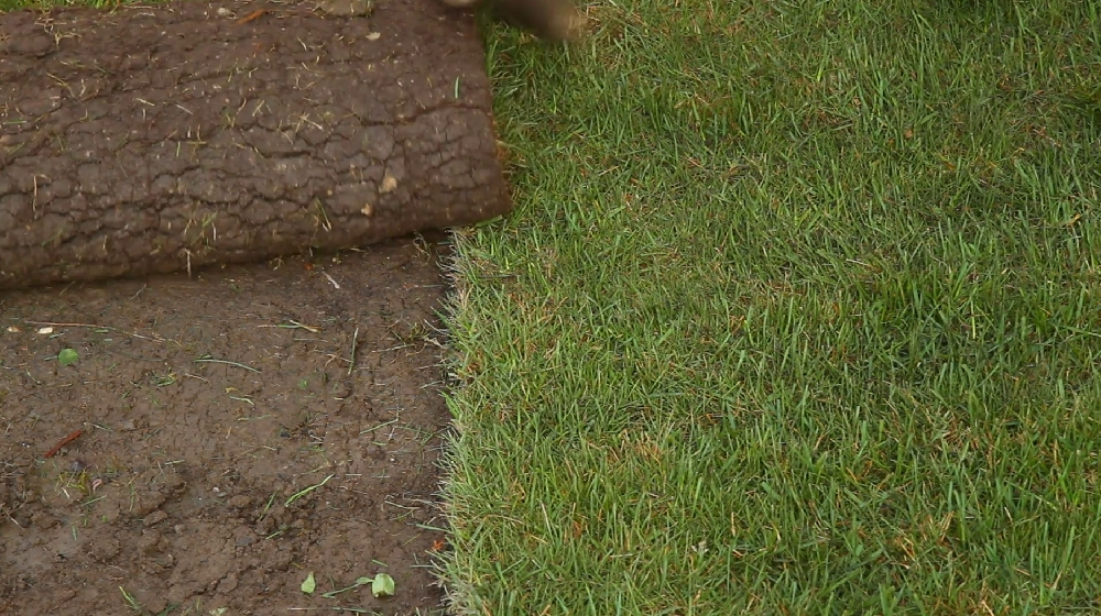 Comment poser des plaques de gazon? Carfix