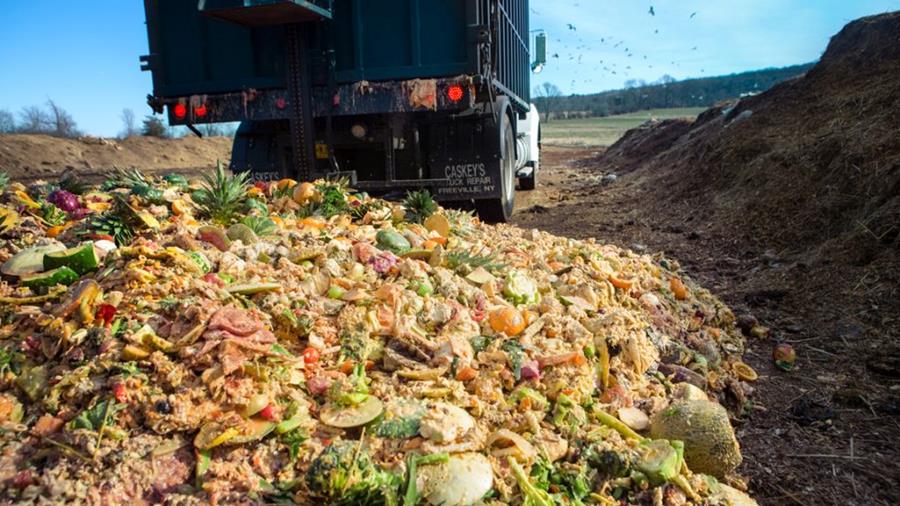 Réforme de la directive déchets et gaspillage alimentaire
