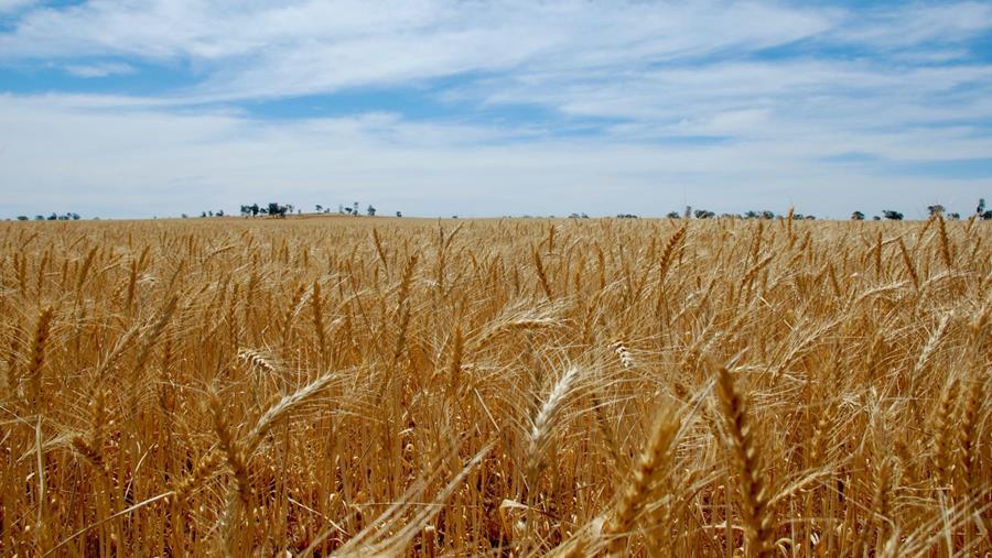 Biobrandstoffen in meeste gevallen twee keer zo duur als benzine en diesel