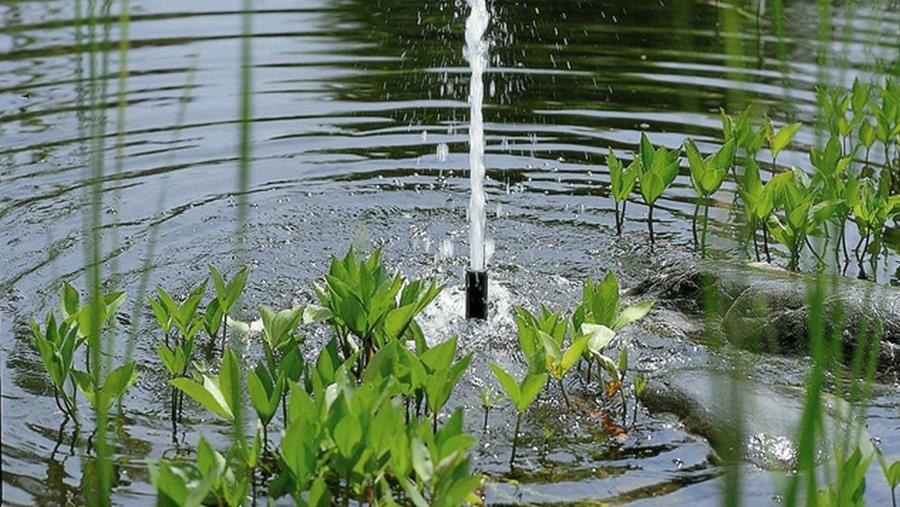 Filters en pompen voor je vijver: waar moet je op letten?