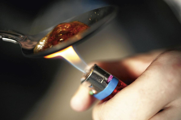 Eradicatieprogramma rekent op doortastend overheidsbeleid 