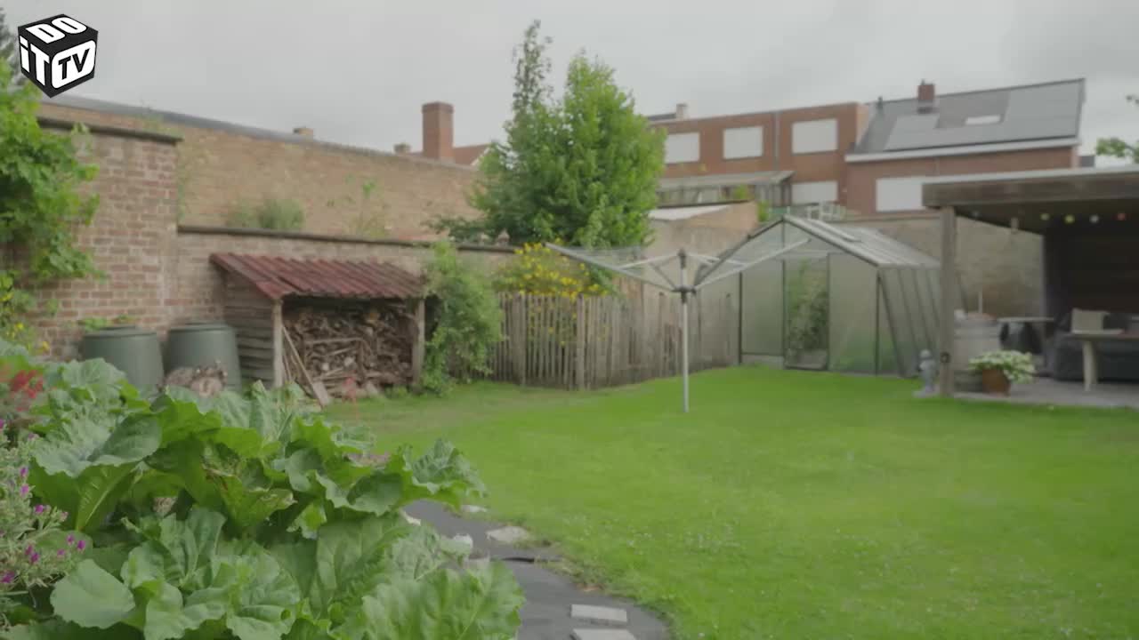 Handige hacks om je tuin een boost te bezorgen